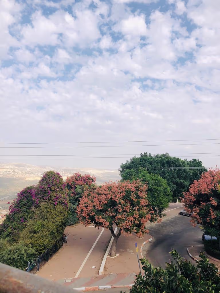 ציונות 19, אריאל